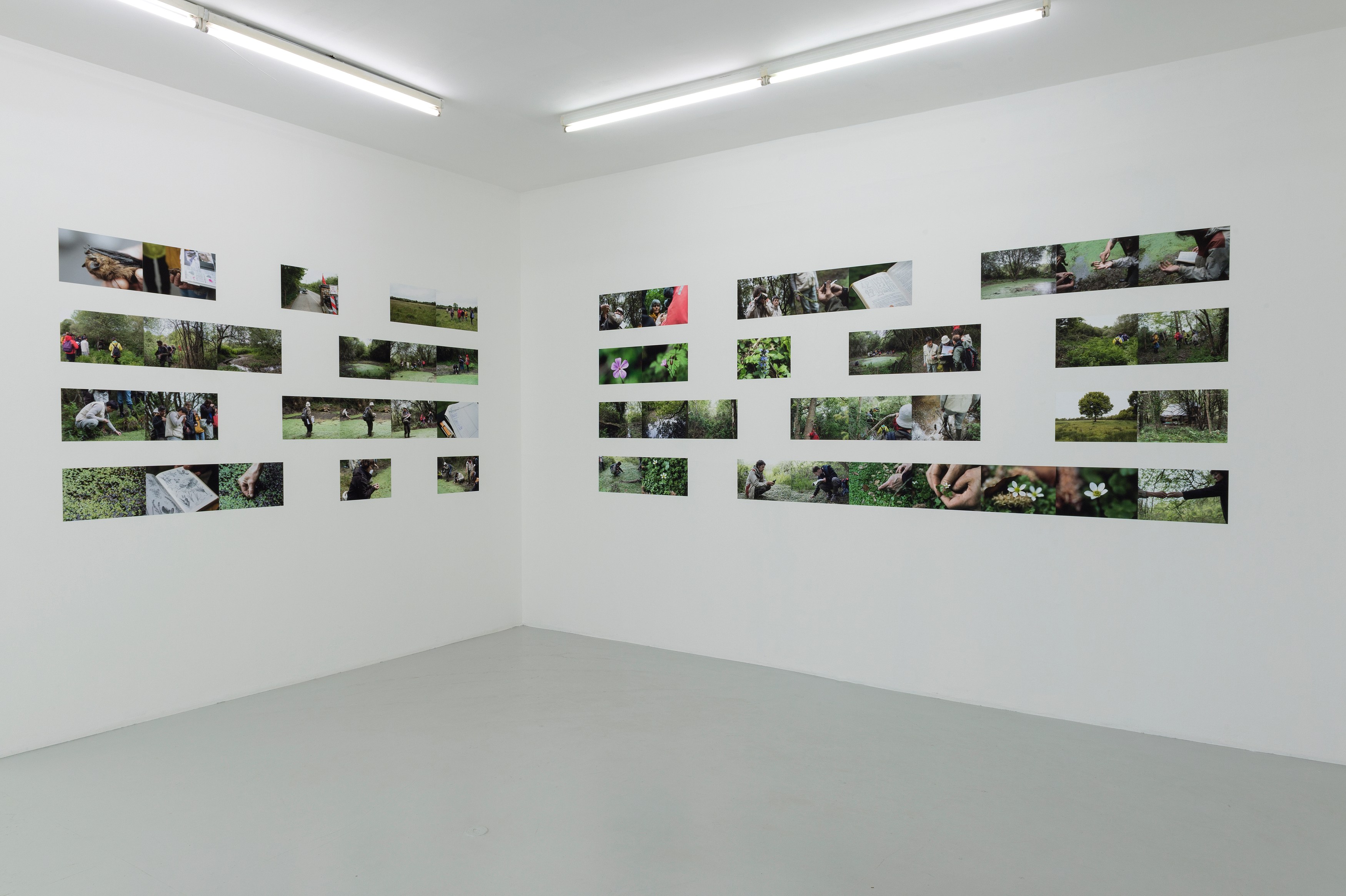 Bruno Serralongue, Chemins cherchés, chemins perdus, transgressions at Air de Paris, photo 9