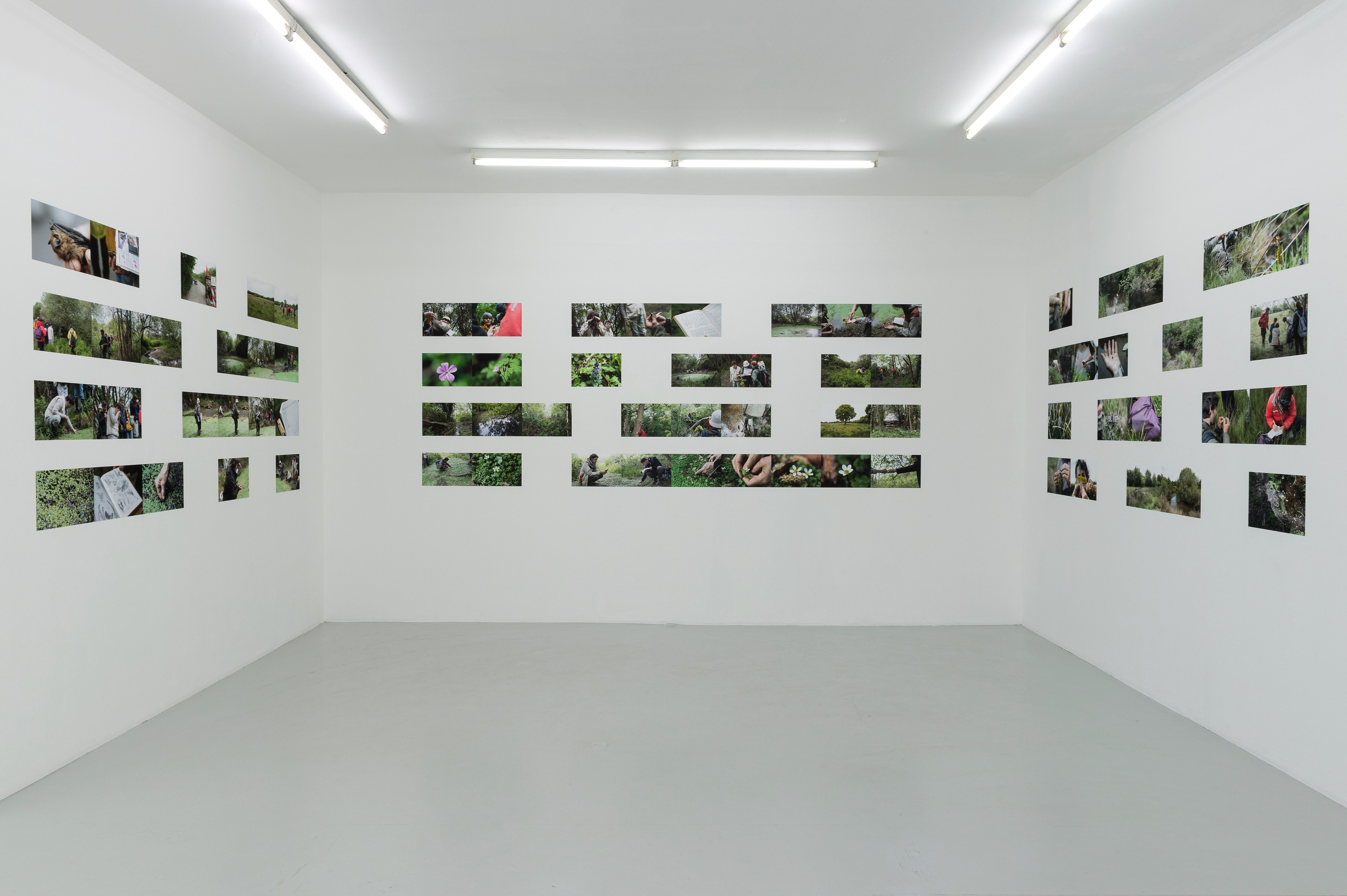 Bruno Serralongue, Chemins cherchés, chemins perdus, transgressions at Air de Paris, photo 8