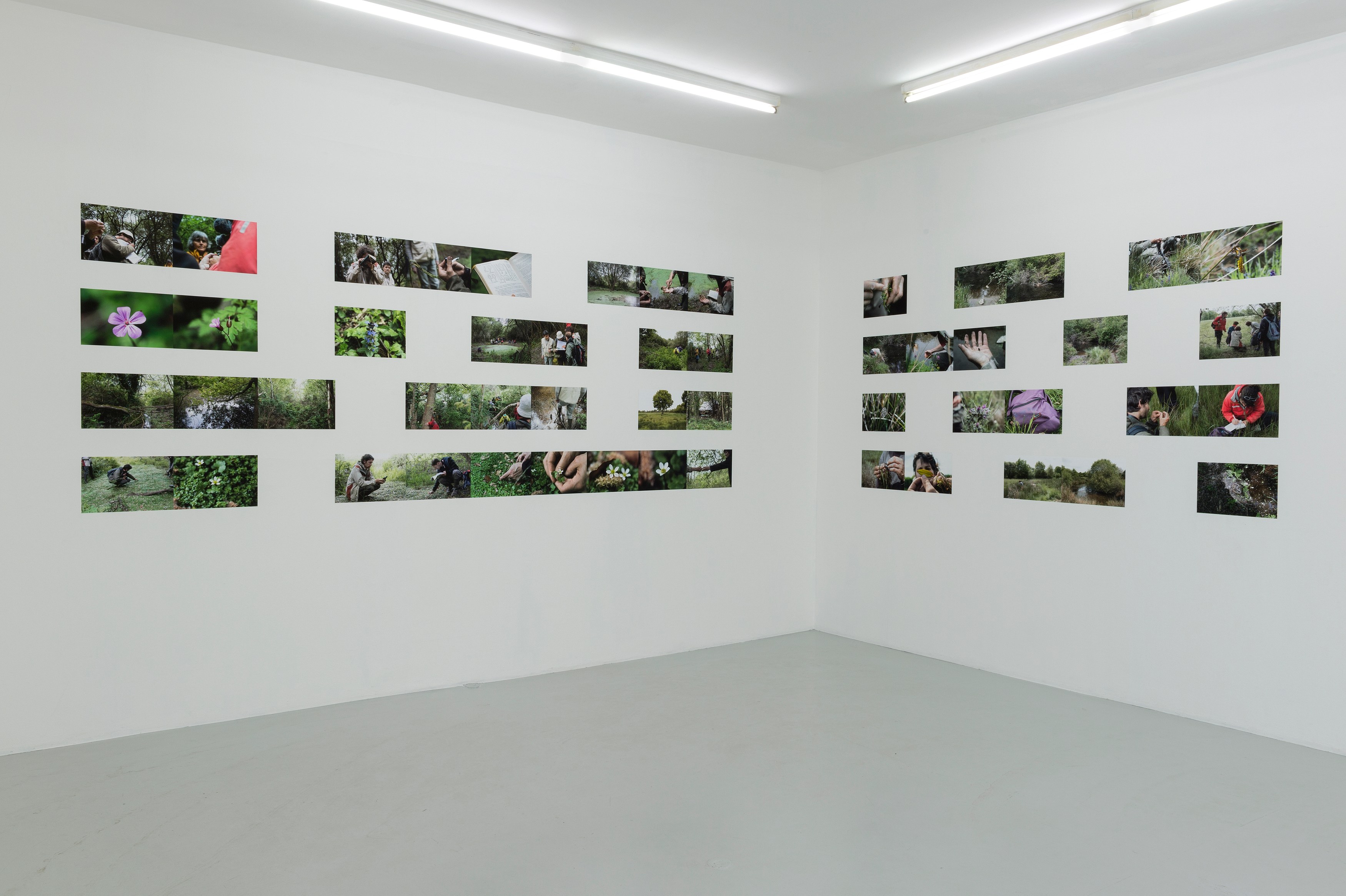 Bruno Serralongue, Chemins cherchés, chemins perdus, transgressions at Air de Paris, photo 7