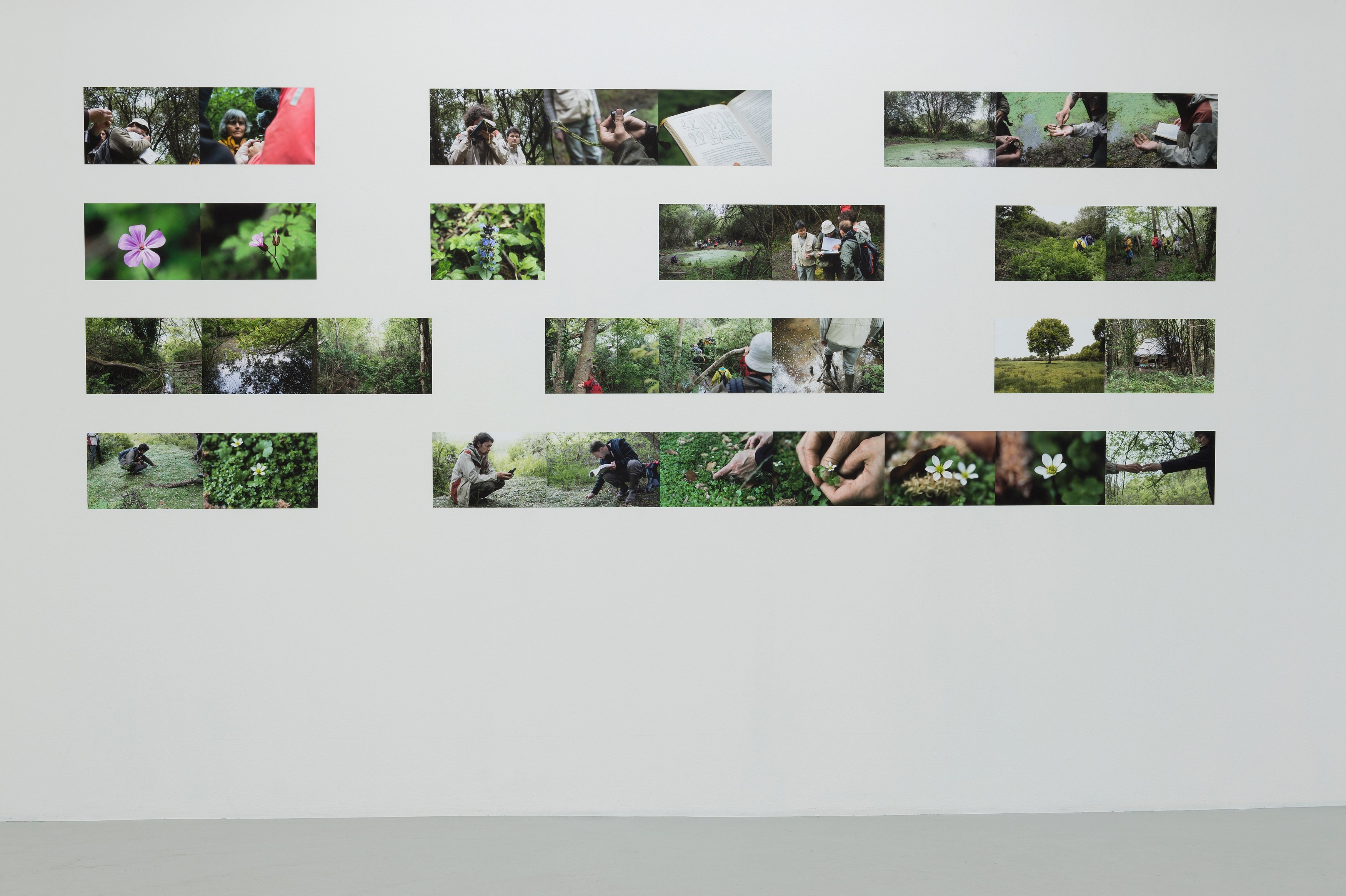 Bruno Serralongue, Chemins cherchés, chemins perdus, transgressions at Air de Paris, photo 15