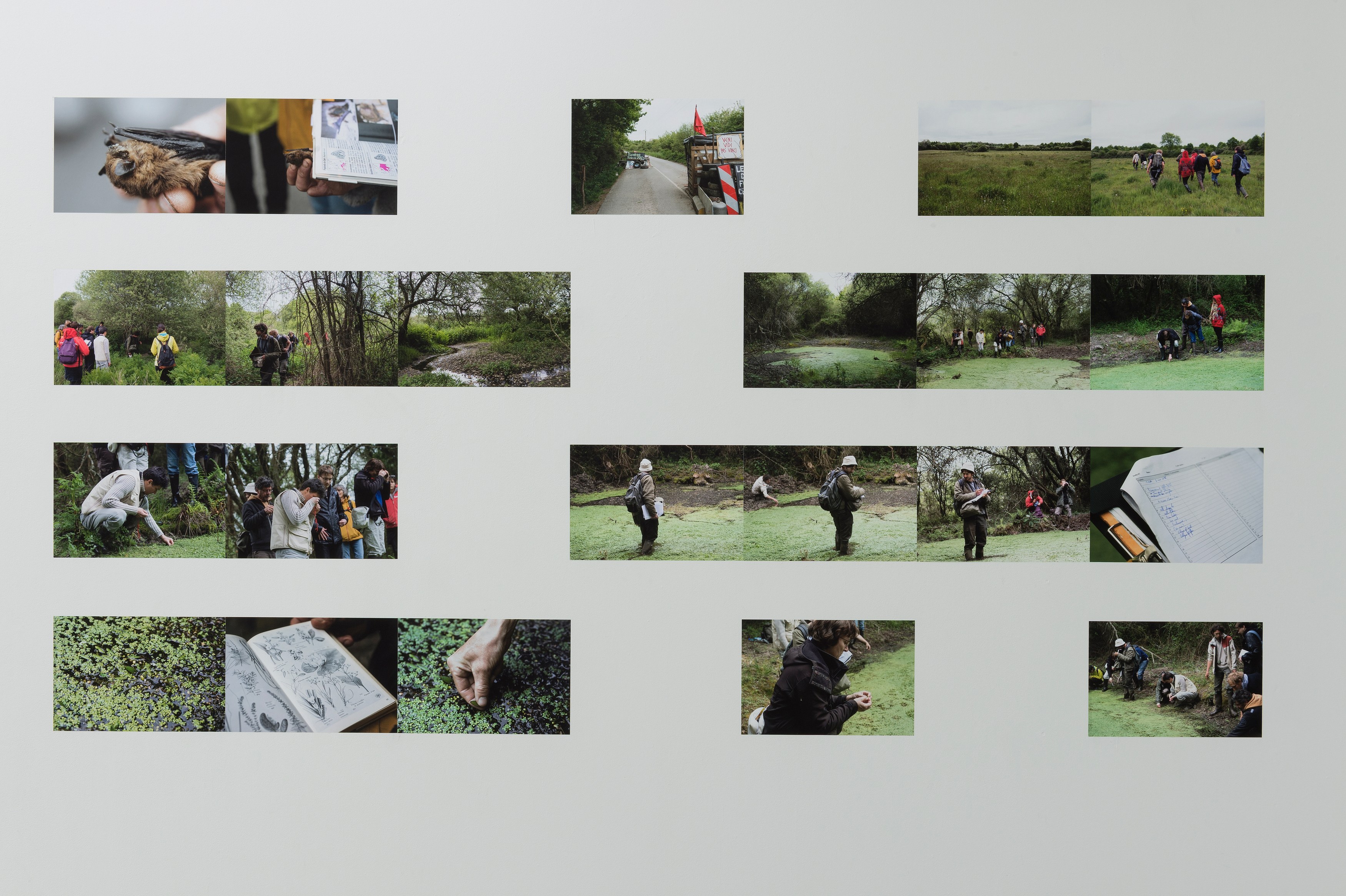 Bruno Serralongue, Chemins cherchés, chemins perdus, transgressions at Air de Paris, photo 17
