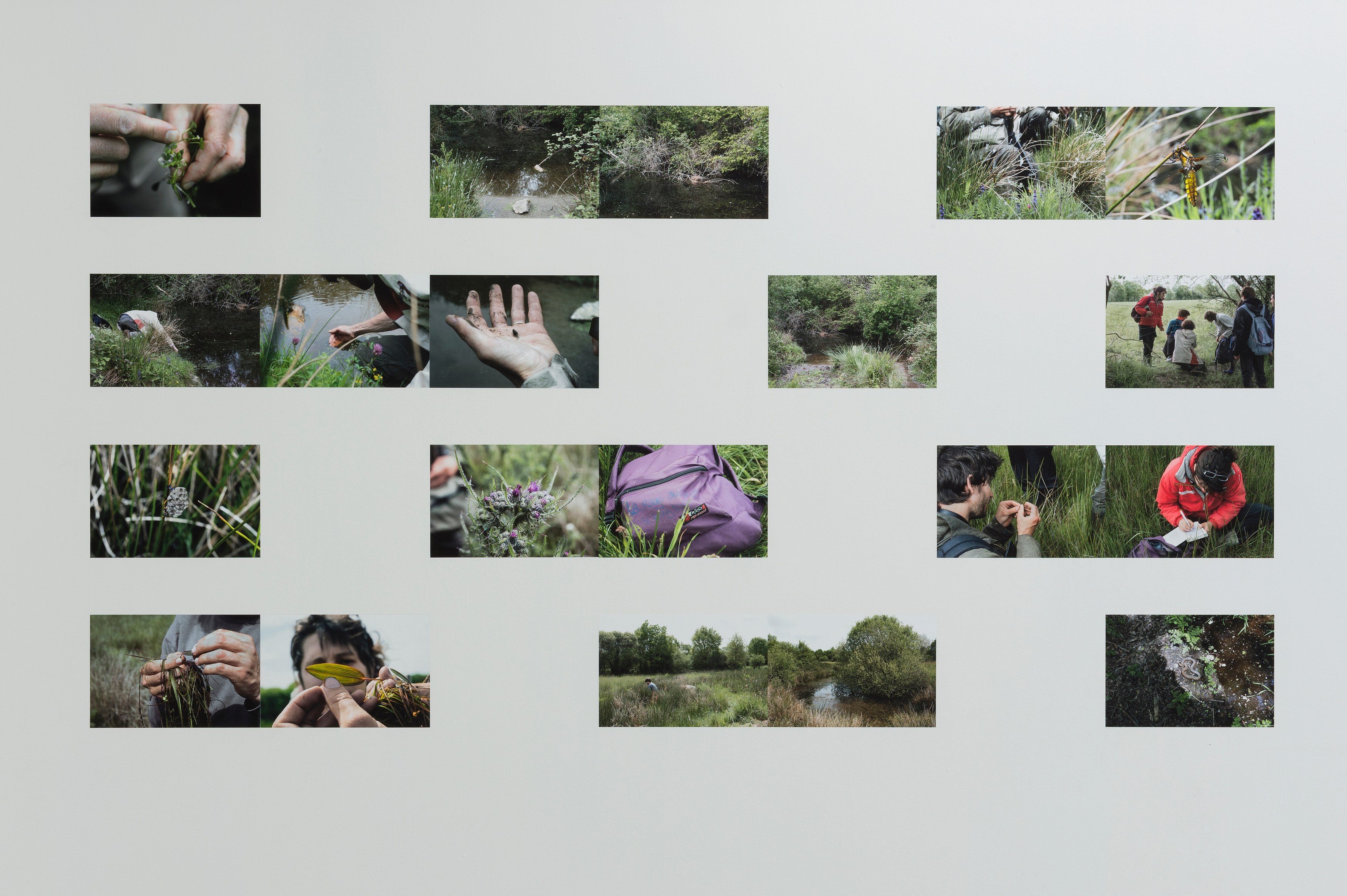 Bruno Serralongue, Chemins cherchés, chemins perdus, transgressions at Air de Paris, photo 16