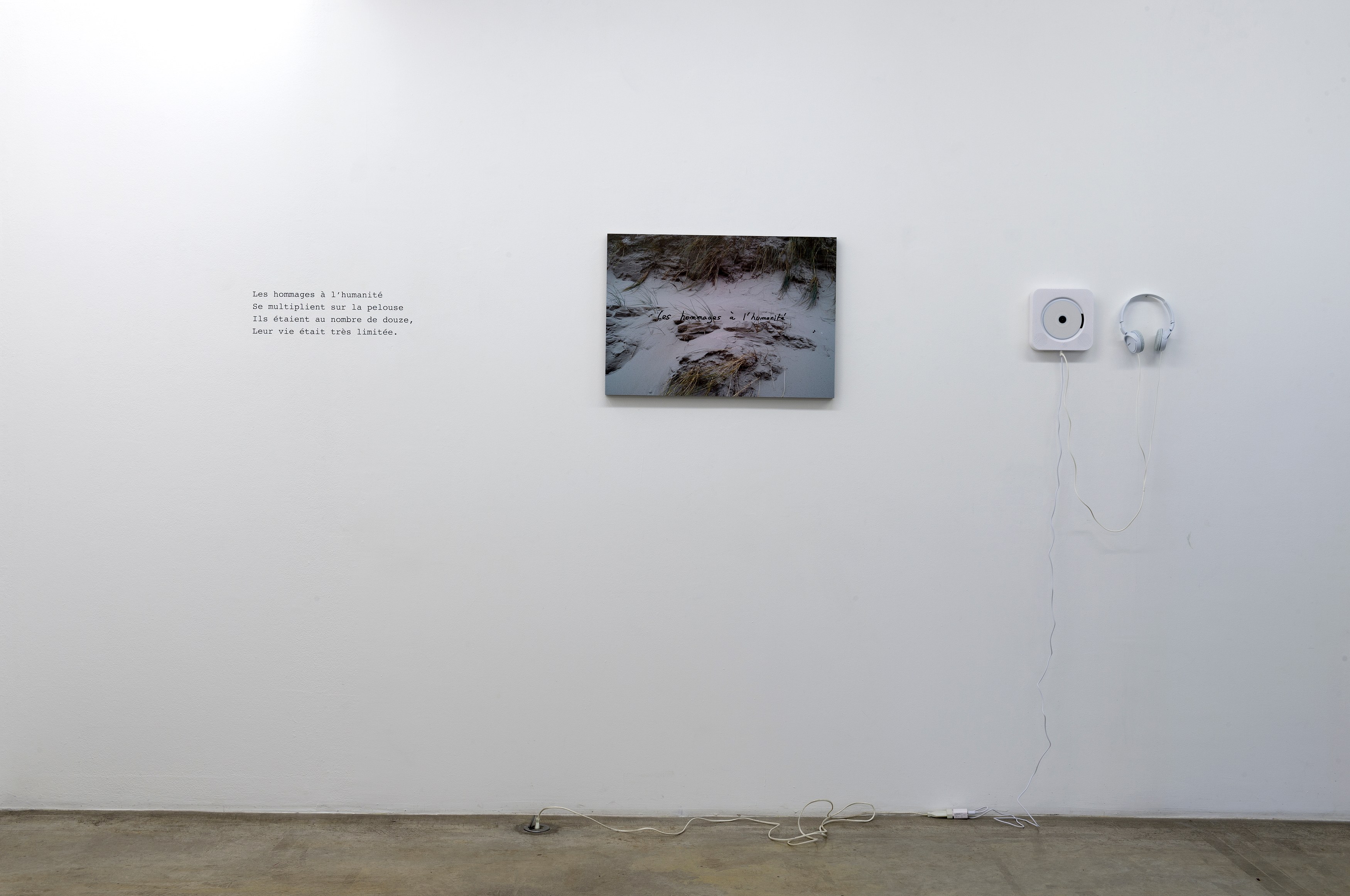 Michel Houellebecq, Quatrains at Air de Paris, photo 6