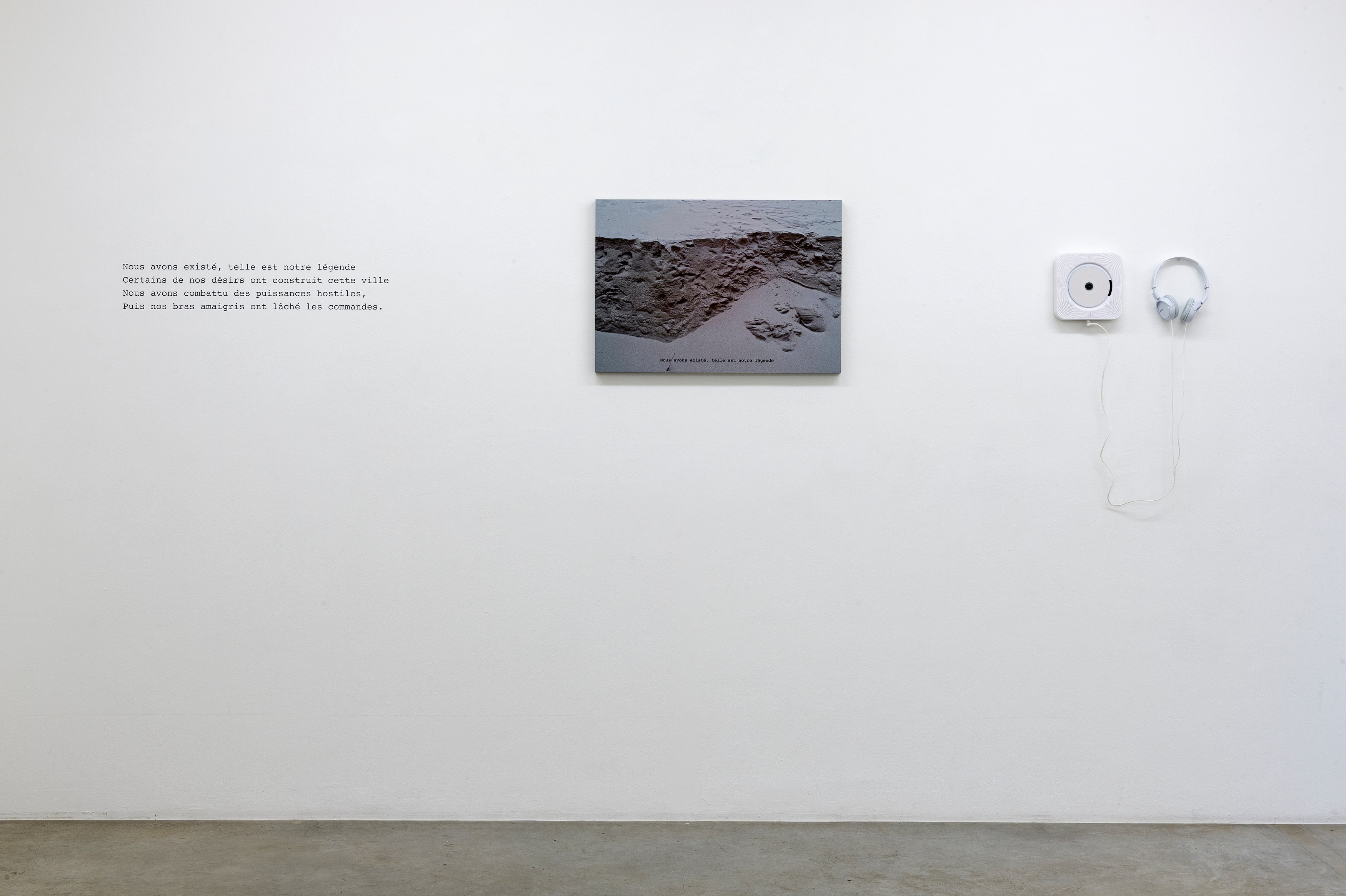 Michel Houellebecq, Quatrains at Air de Paris, photo 7