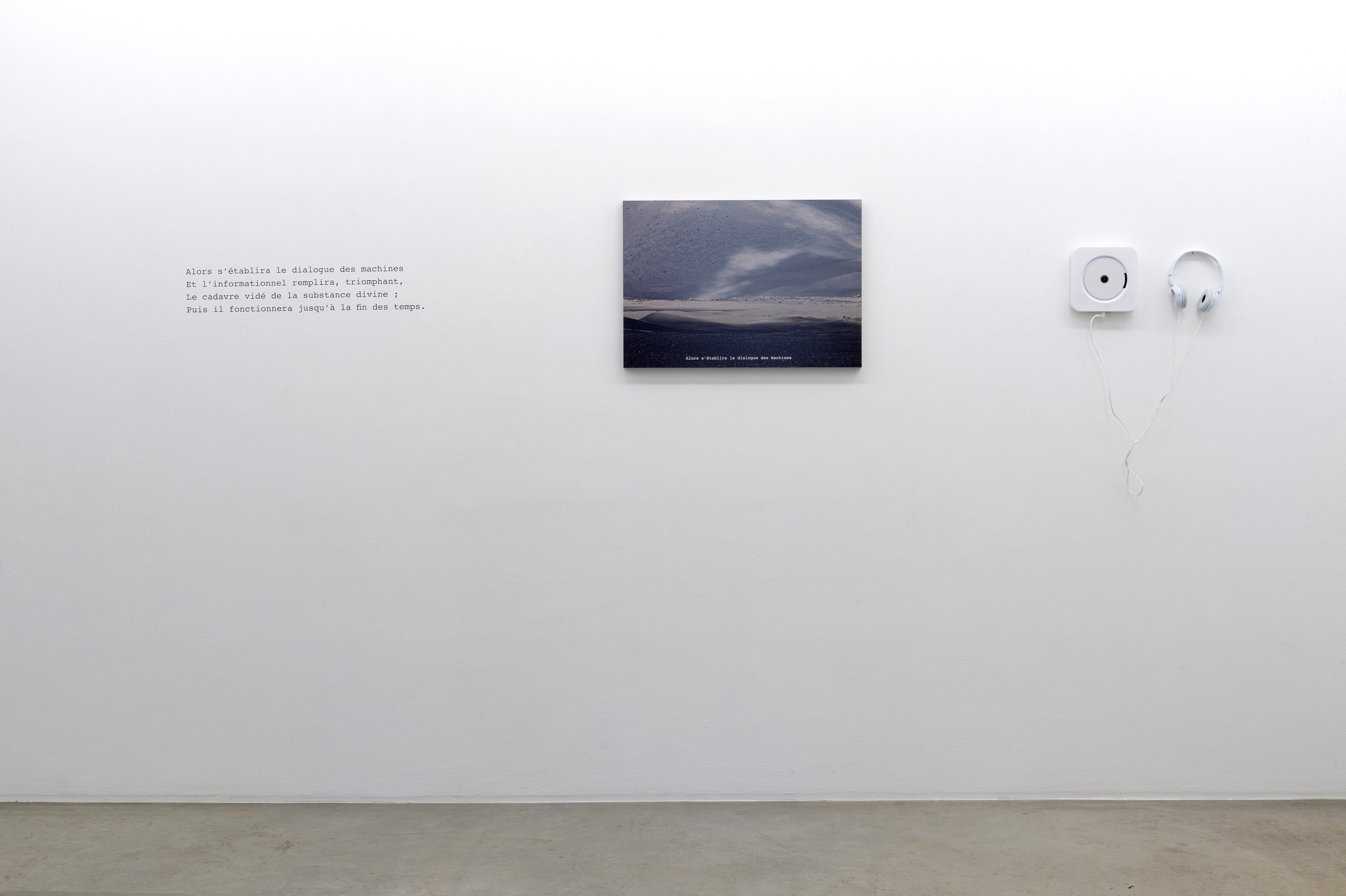 Michel Houellebecq, Quatrains at Air de Paris, photo 3