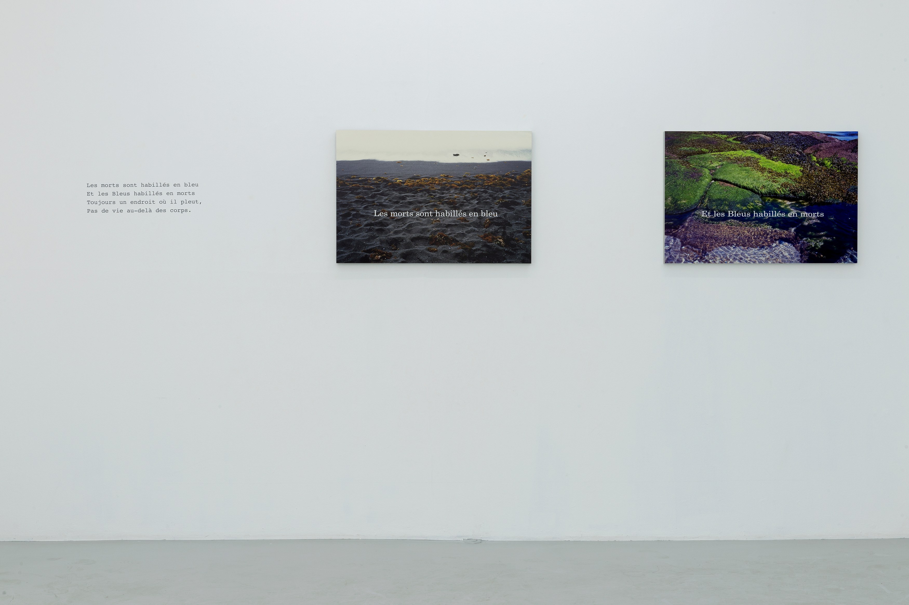 Michel Houellebecq, Quatrains at Air de Paris, photo 5