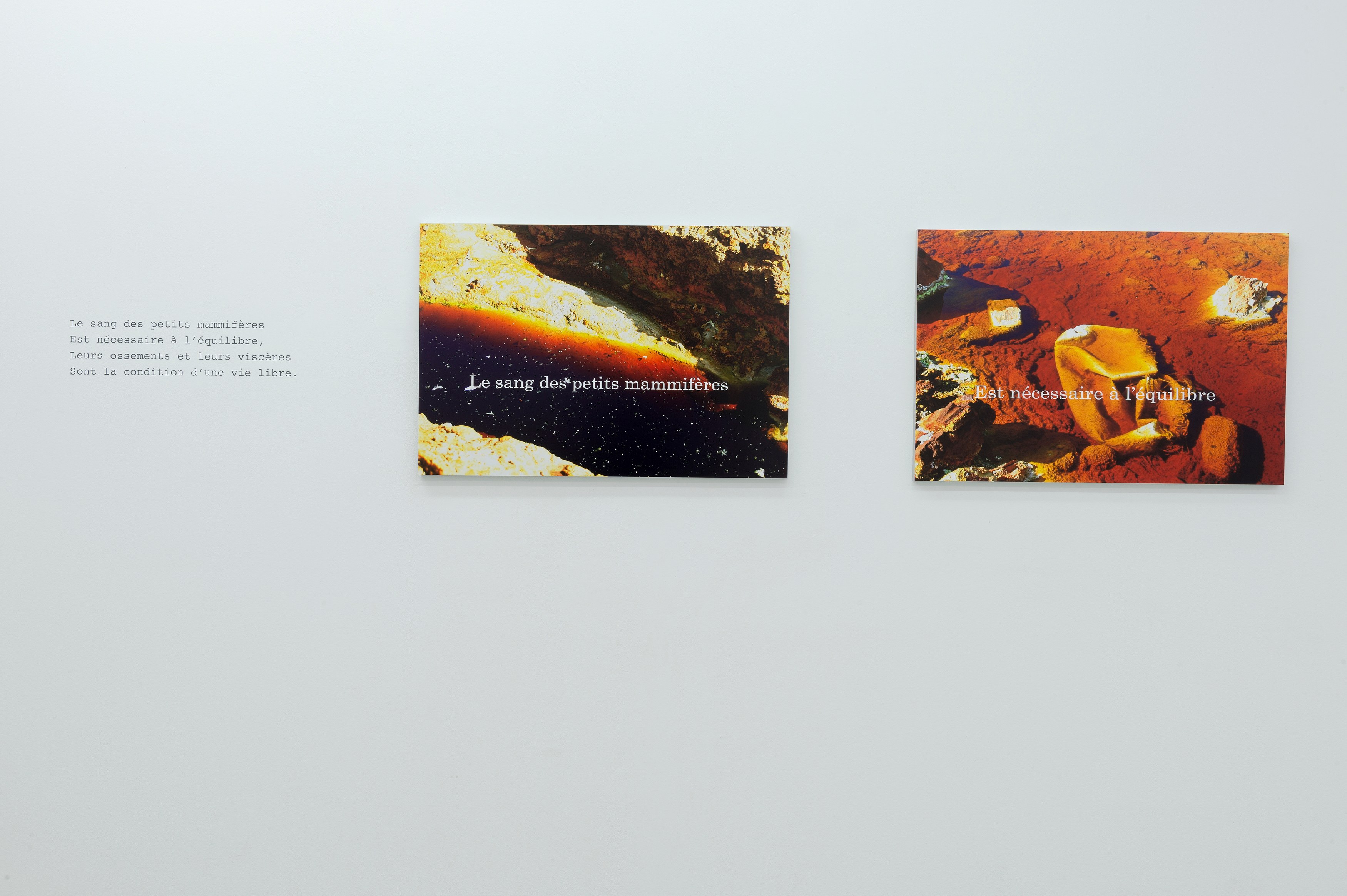 Michel Houellebecq, Quatrains at Air de Paris, photo 2