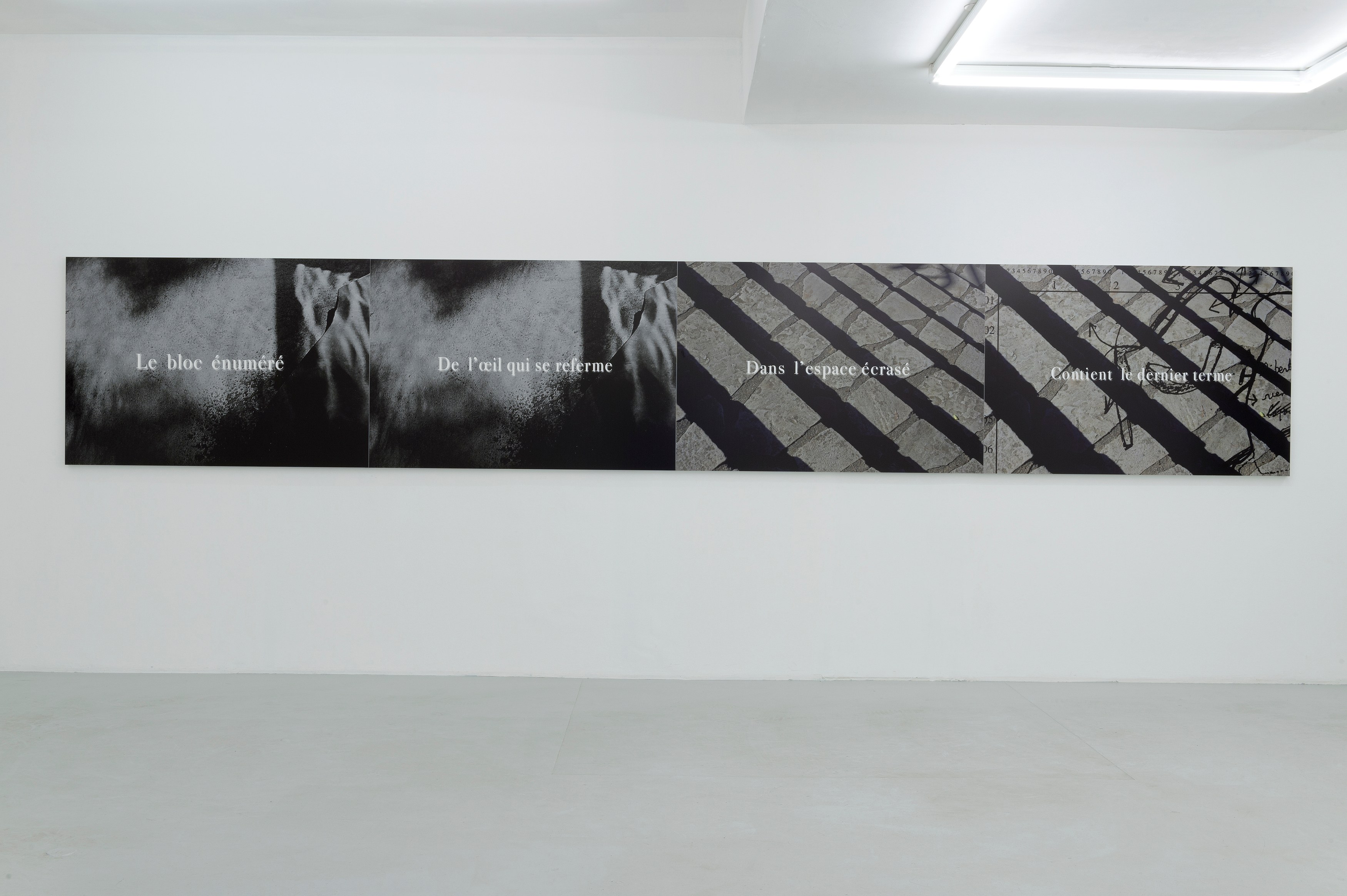 Michel Houellebecq, Quatrains at Air de Paris, photo 4
