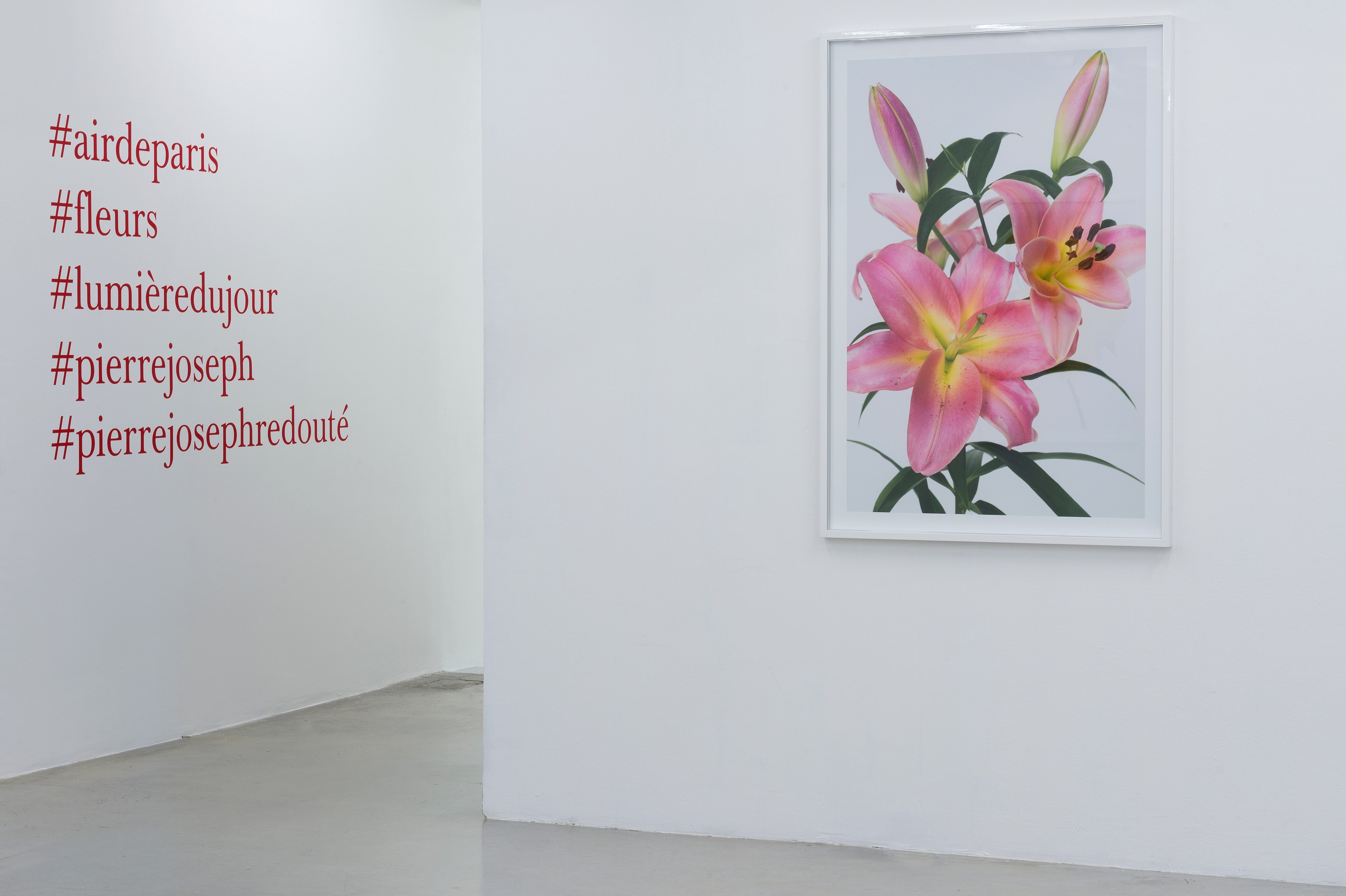 Pierre Joseph, #pierrejosephredouté at Air de Paris, photo 6