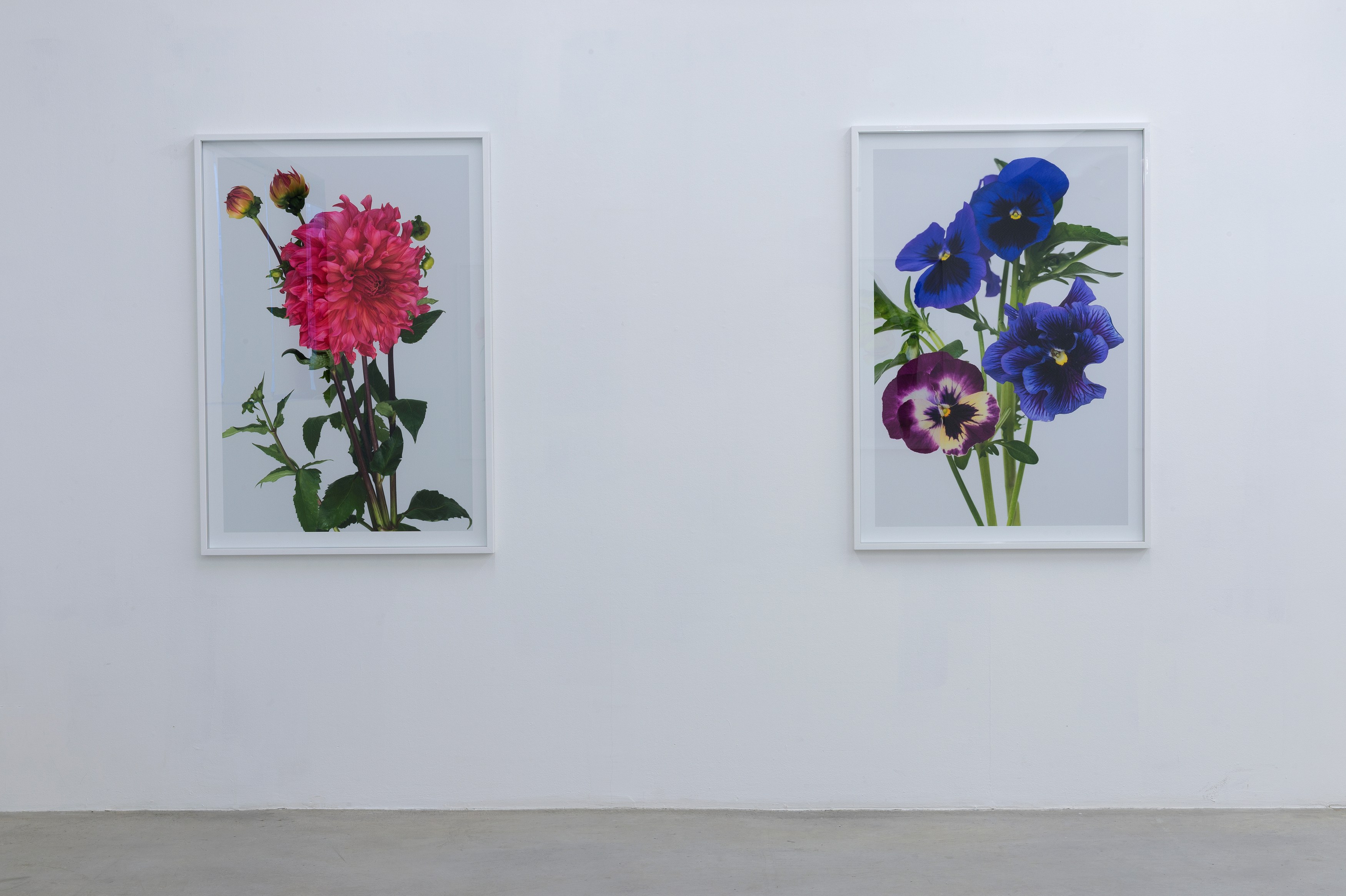 Pierre Joseph, #pierrejosephredouté at Air de Paris, photo 3