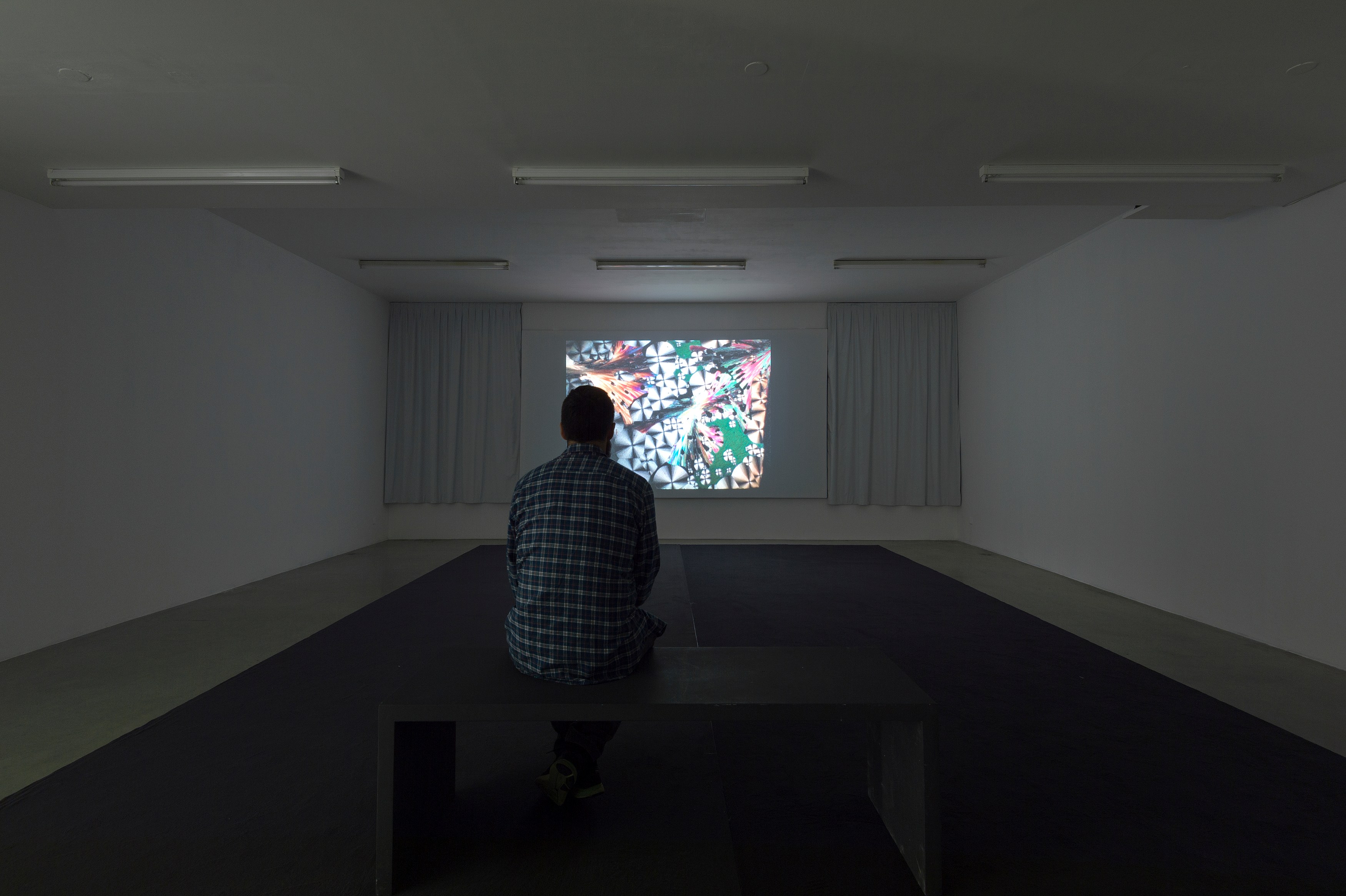 Jean Painlevé, Transition de phase dans les cristaux liquides at Air de Paris, photo 3