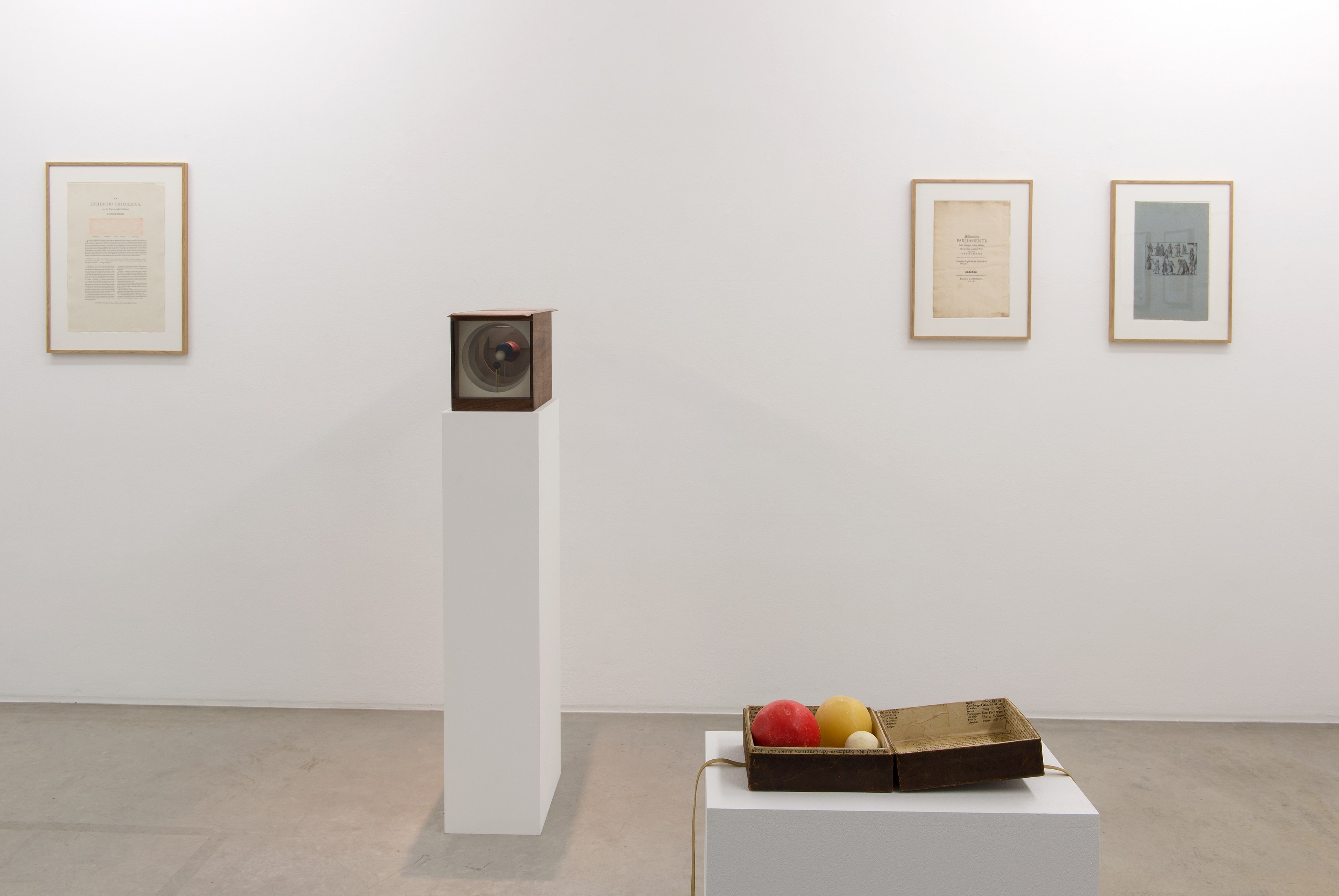 Ben Kinmont, Exhibitio Chimaerica at Air de Paris, photo 2