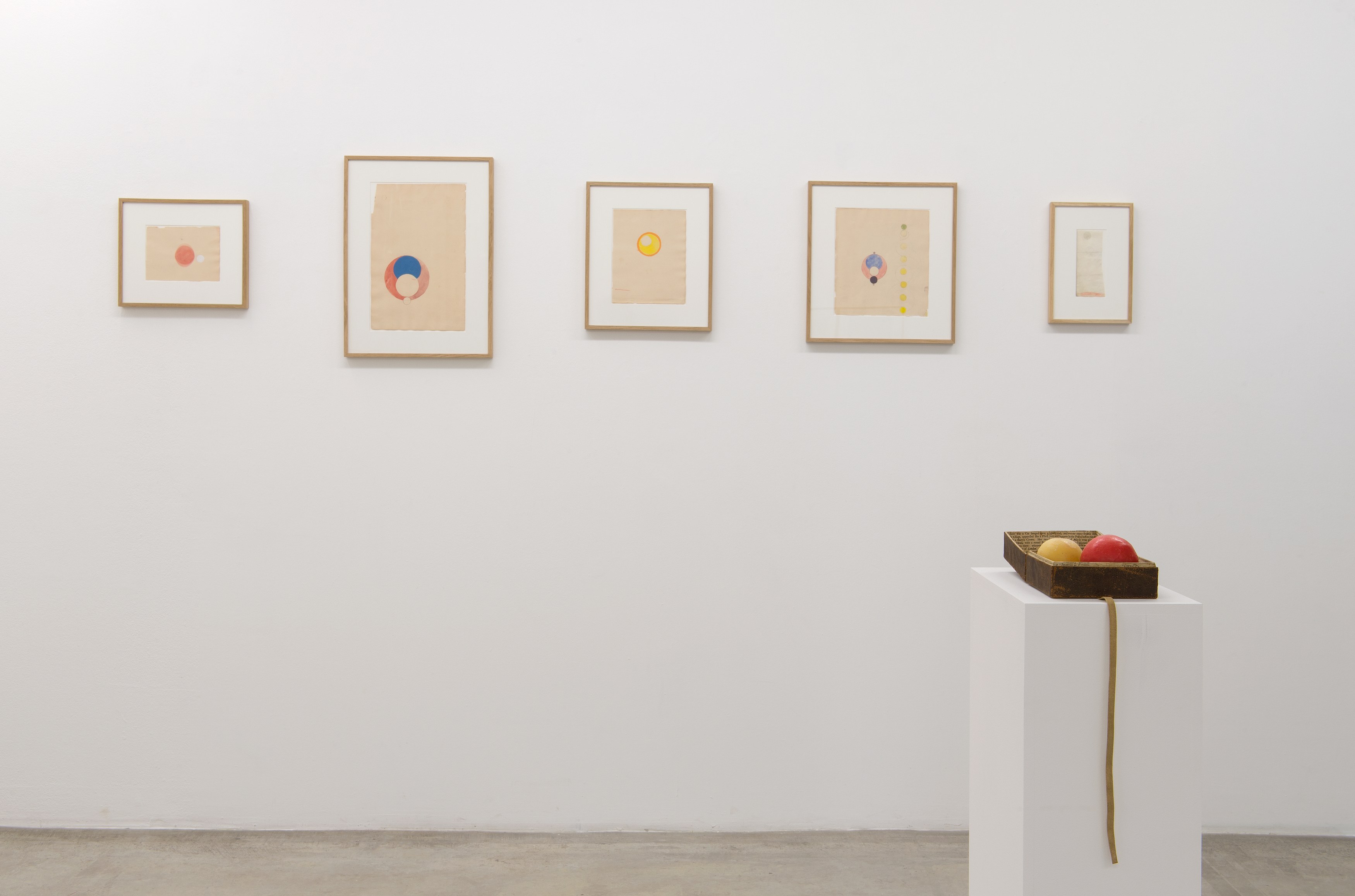 Ben Kinmont, Exhibitio Chimaerica at Air de Paris, photo 8