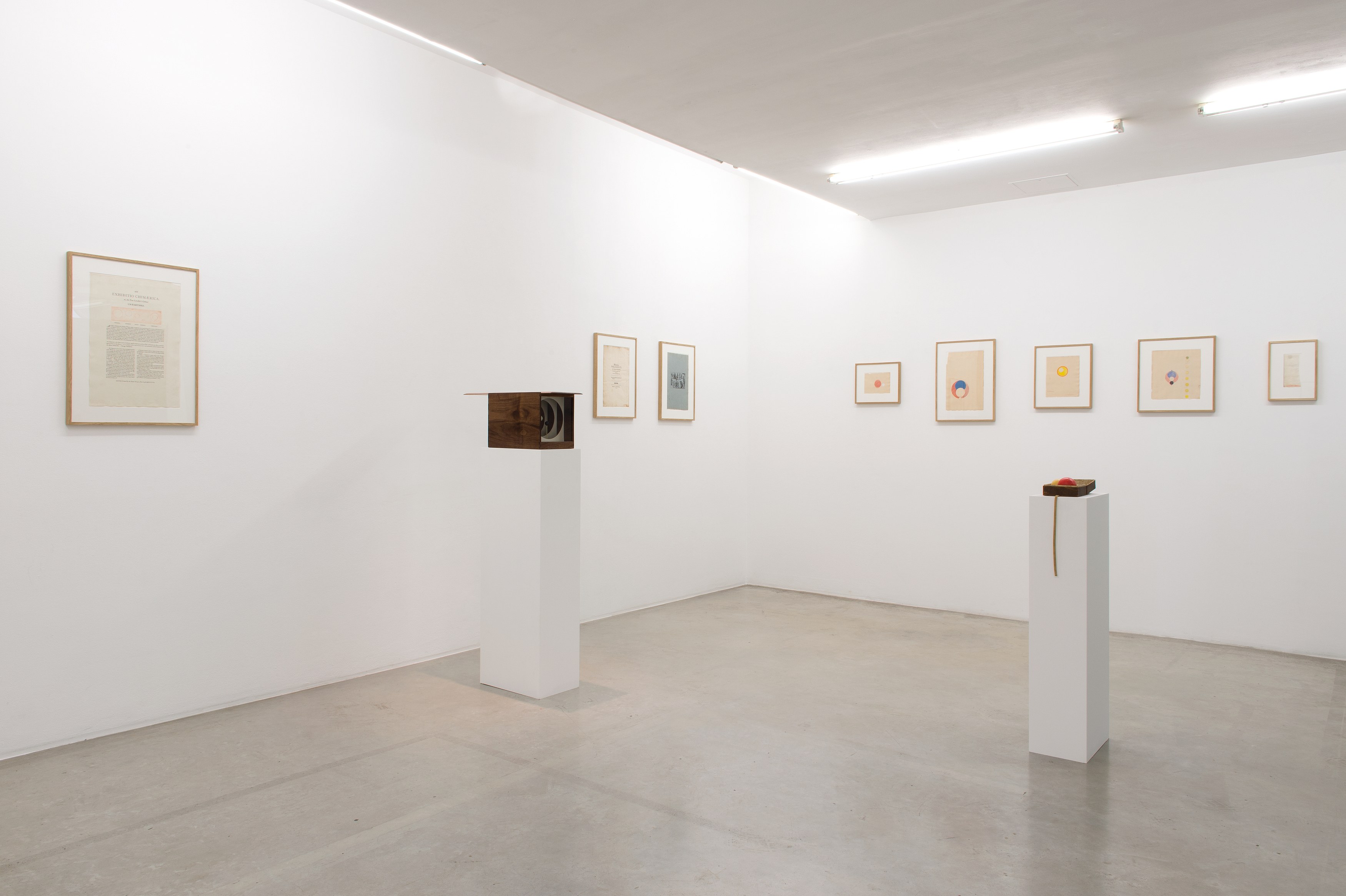 Ben Kinmont, Exhibitio Chimaerica at Air de Paris, photo 9