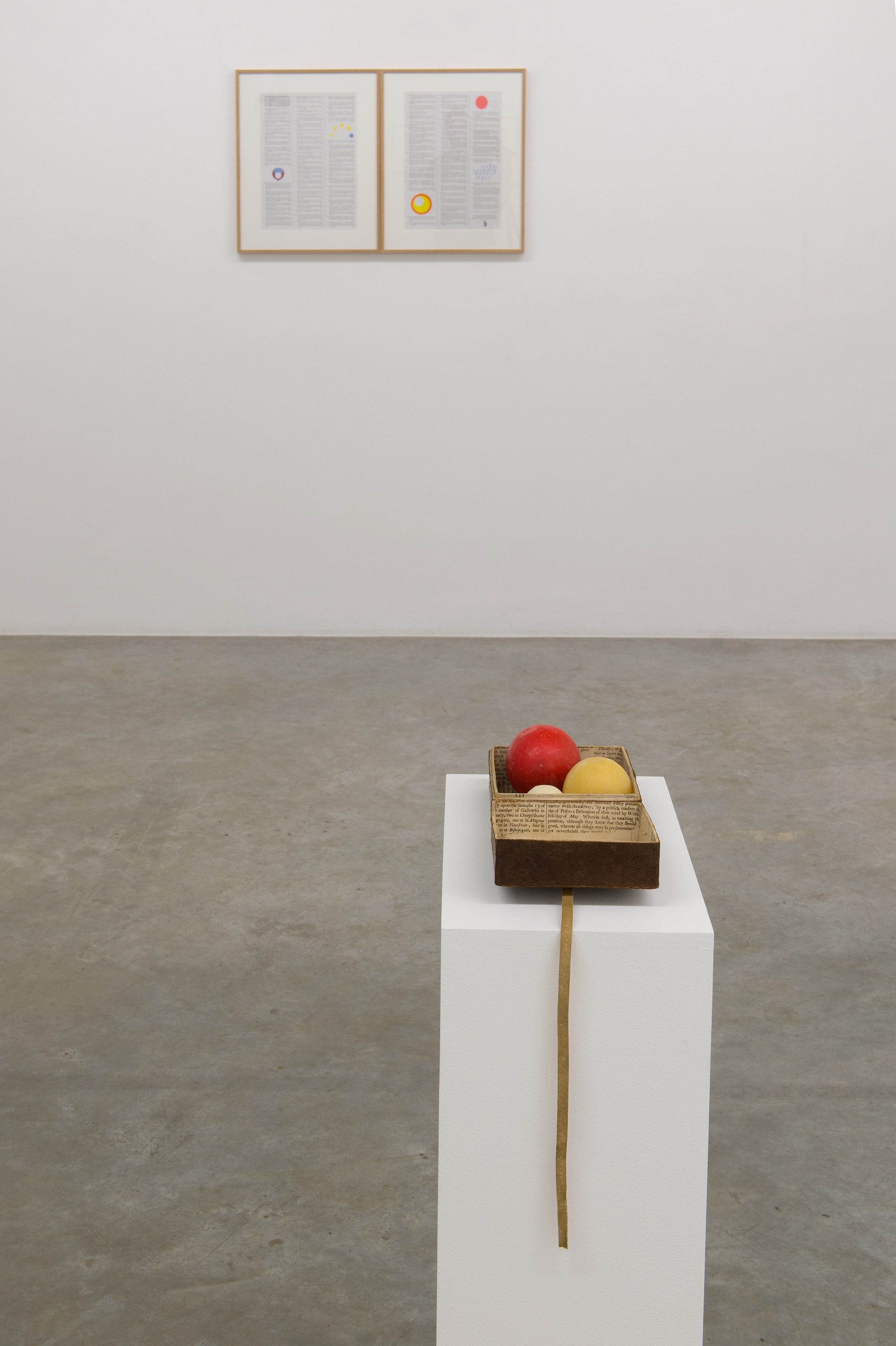 Ben Kinmont, Exhibitio Chimaerica at Air de Paris, photo 10