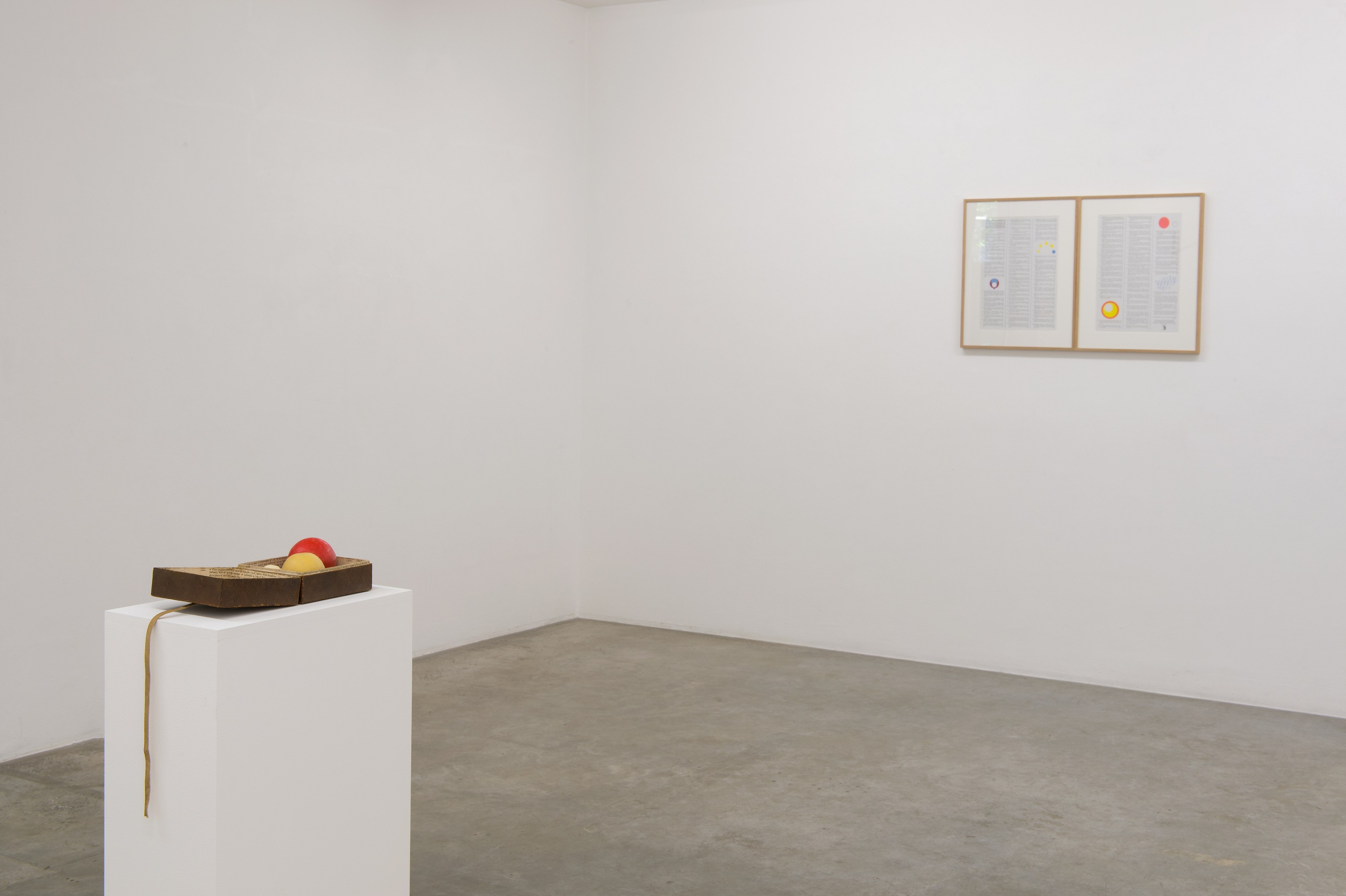 Ben Kinmont, Exhibitio Chimaerica at Air de Paris, photo 11