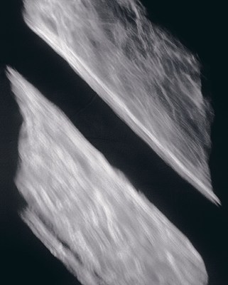 Image 18 of 22