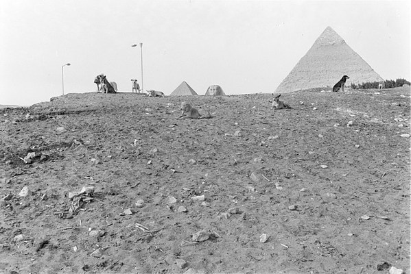 Image 2 of 17