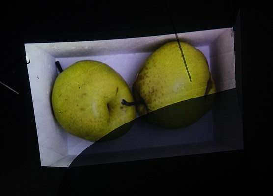 Image 7 of 19