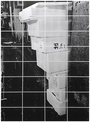 Image 8 of 16