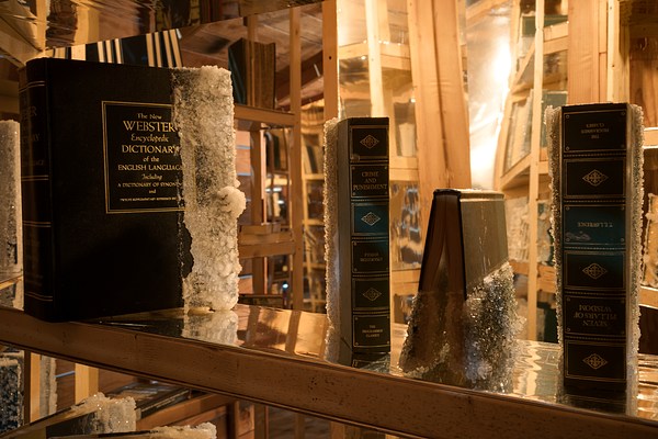 A close up view of a tight space filled with a wooden book shelf in the foreground with five books coated in sugar on the edges.&nbsp;