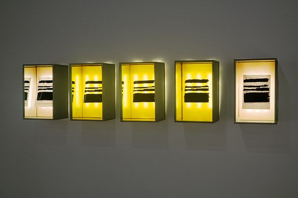 Five light boxes hung on a wall with a sheet of paper in each that has certain parts of the text blacked out.&nbsp;