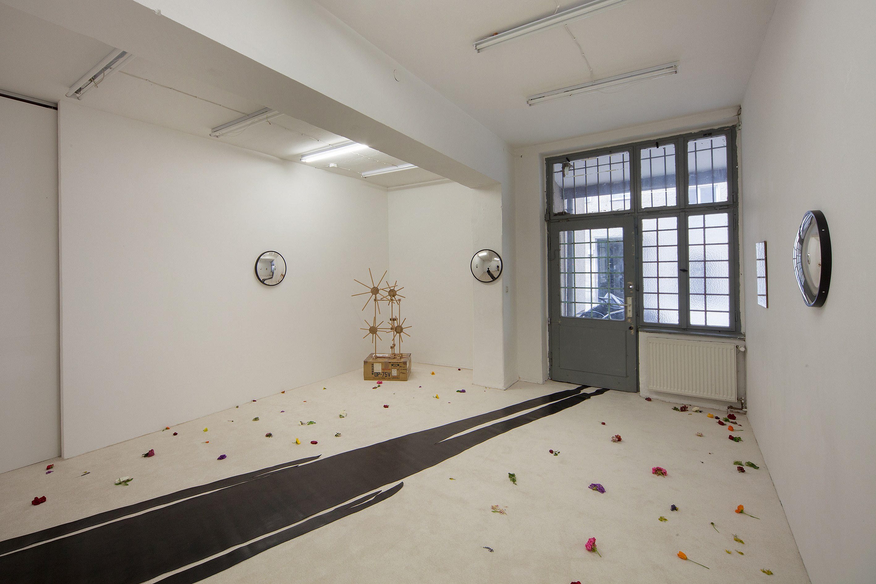 Angharad Williams, Without the Scales at Schiefe Zähne, photo 3