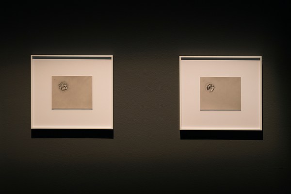 2 white framed gray prints hang side by side, illuminated on a dark wall.