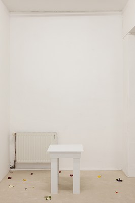 Image 12 of 29