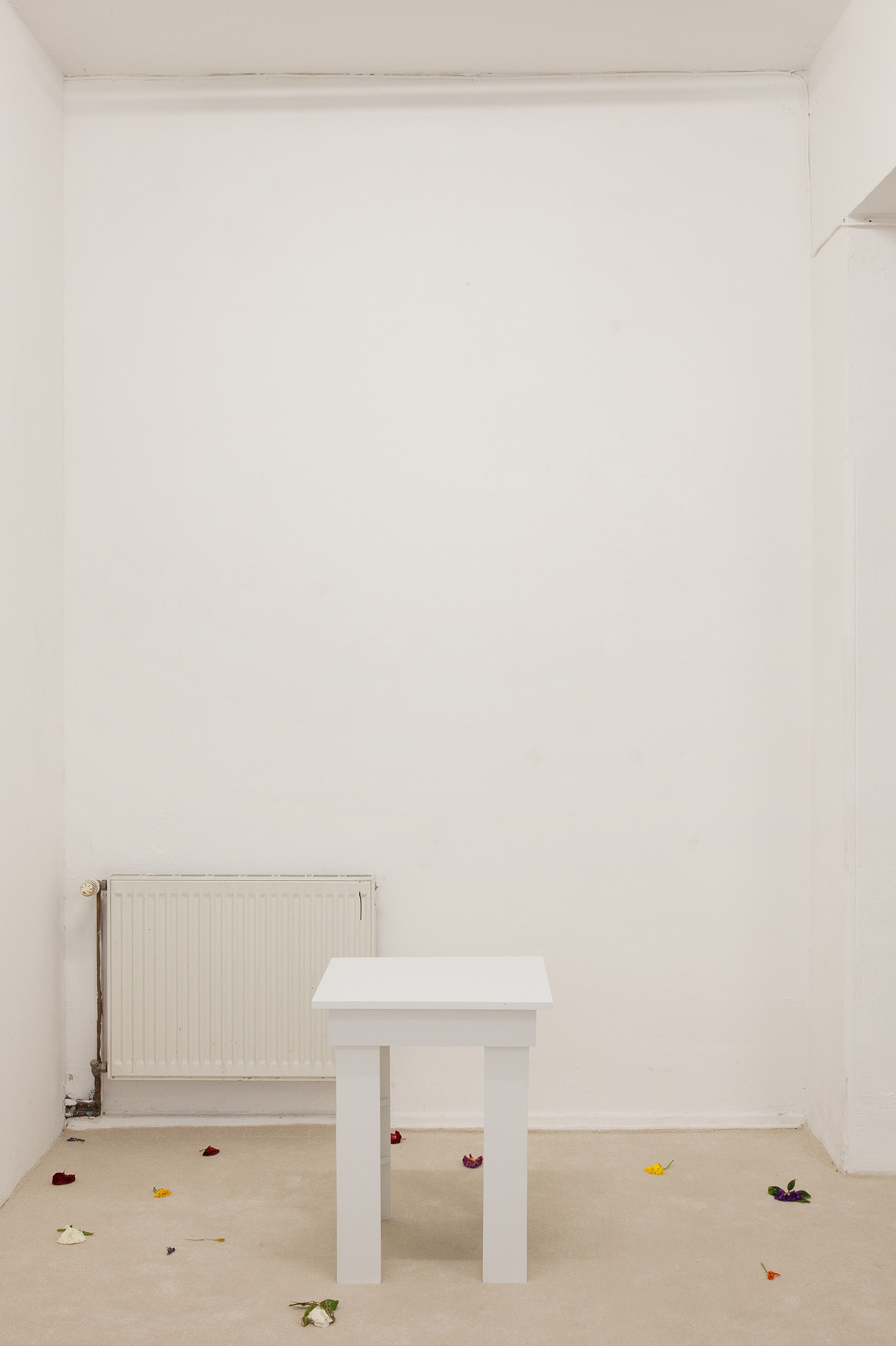 Angharad Williams, Without the Scales at Schiefe Zähne, photo 12