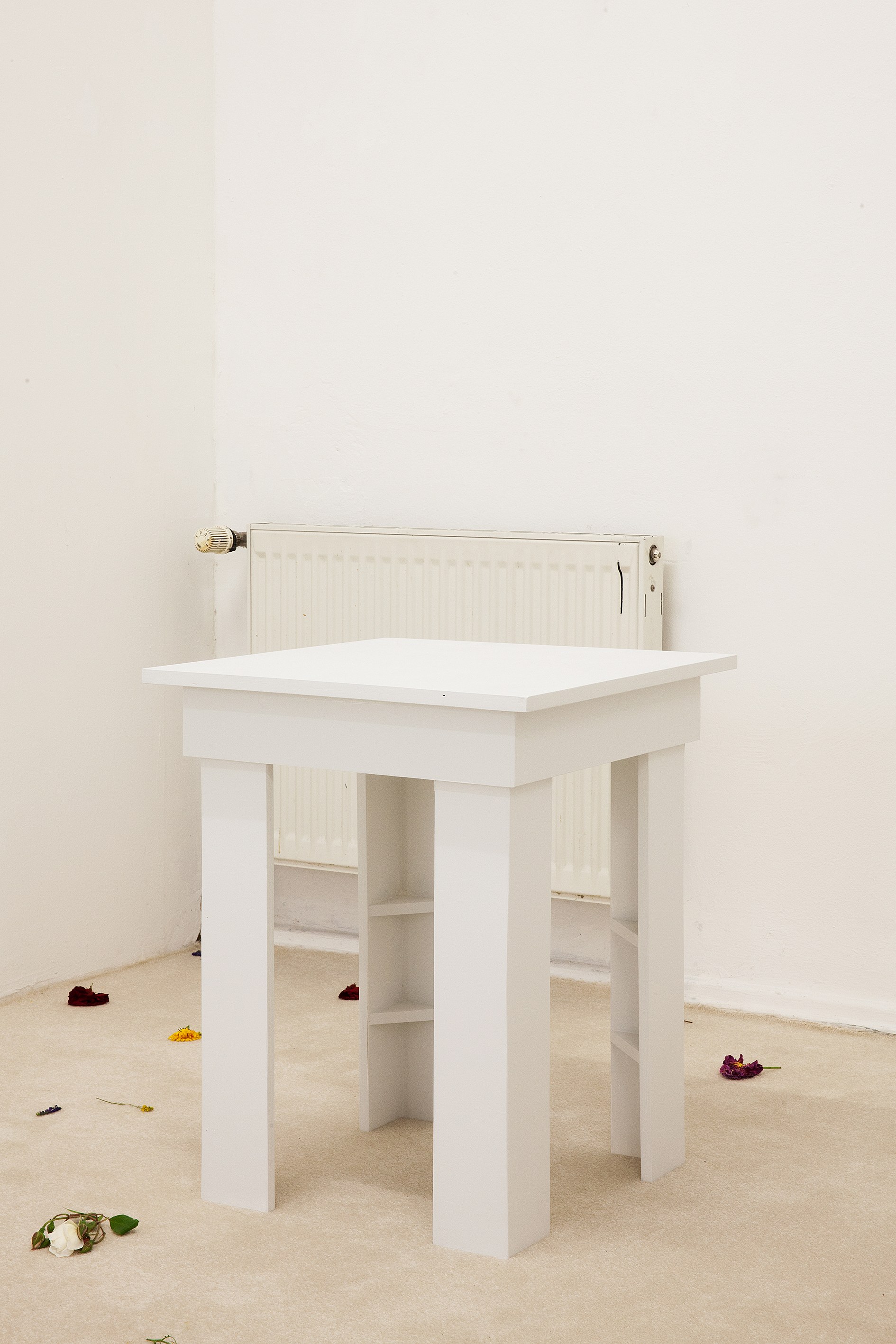 Angharad Williams, Without the Scales at Schiefe Zähne, photo 13