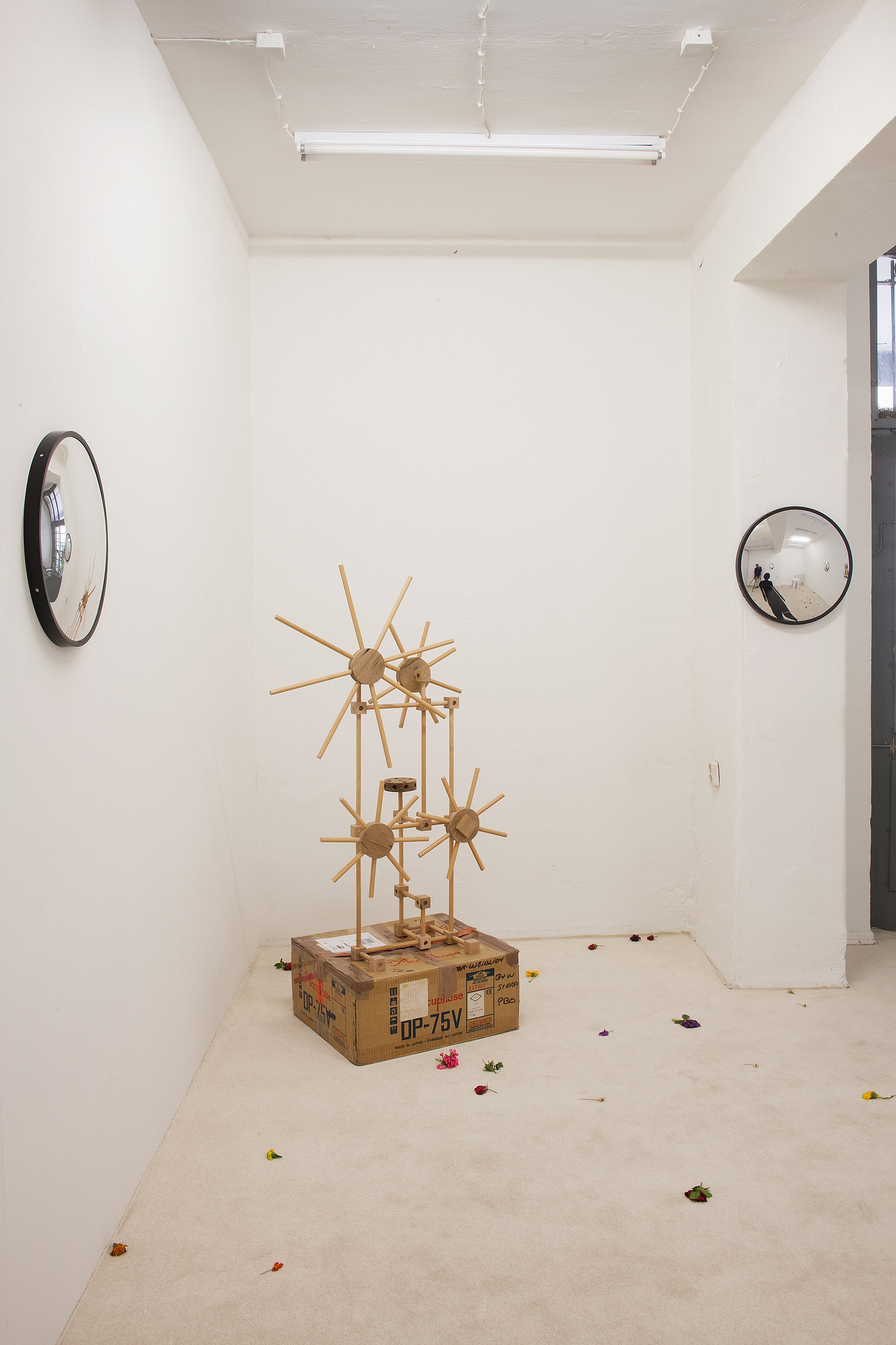 Angharad Williams, Without the Scales at Schiefe Zähne, photo 18