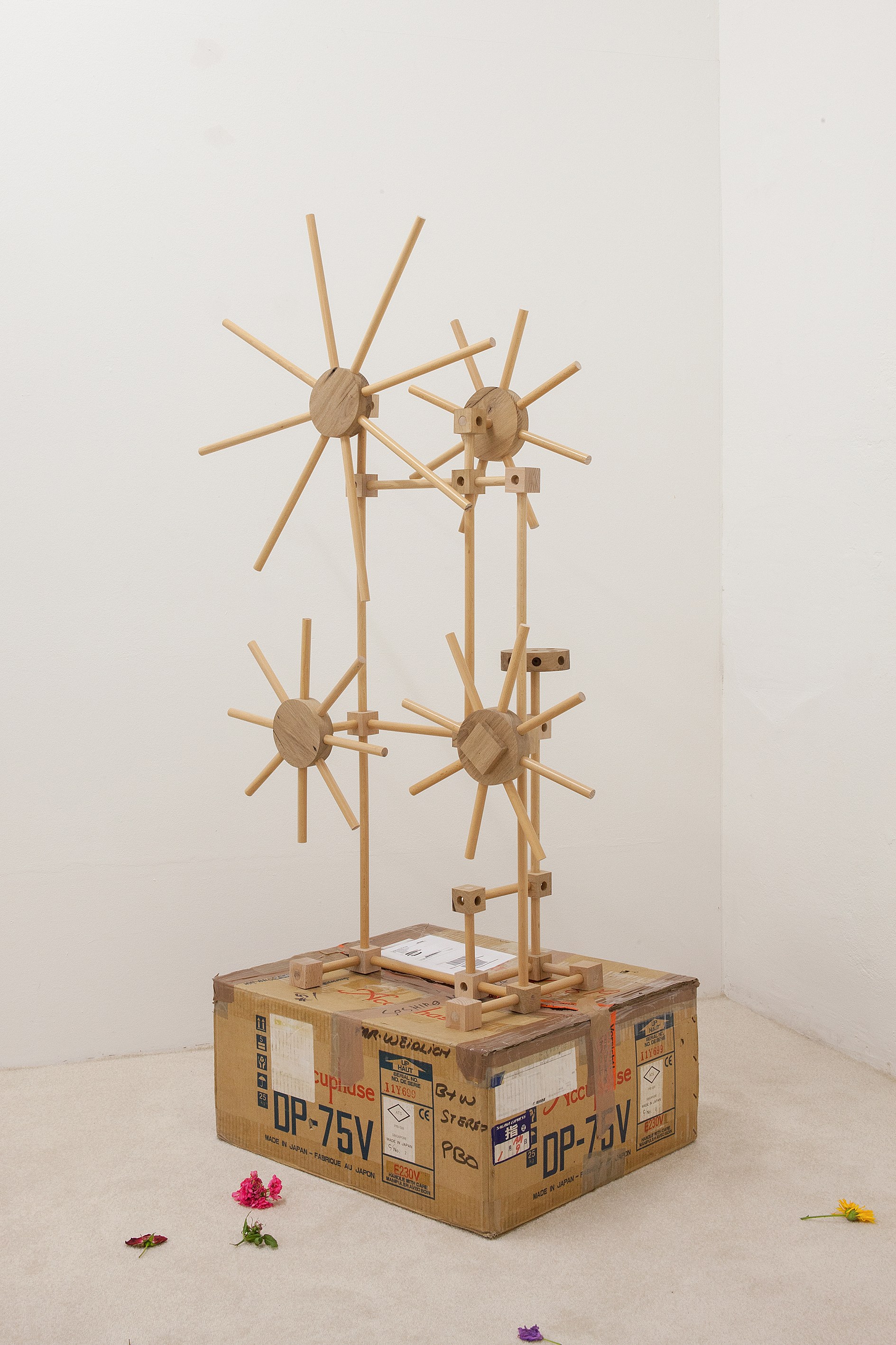 Angharad Williams, Without the Scales at Schiefe Zähne, photo 19