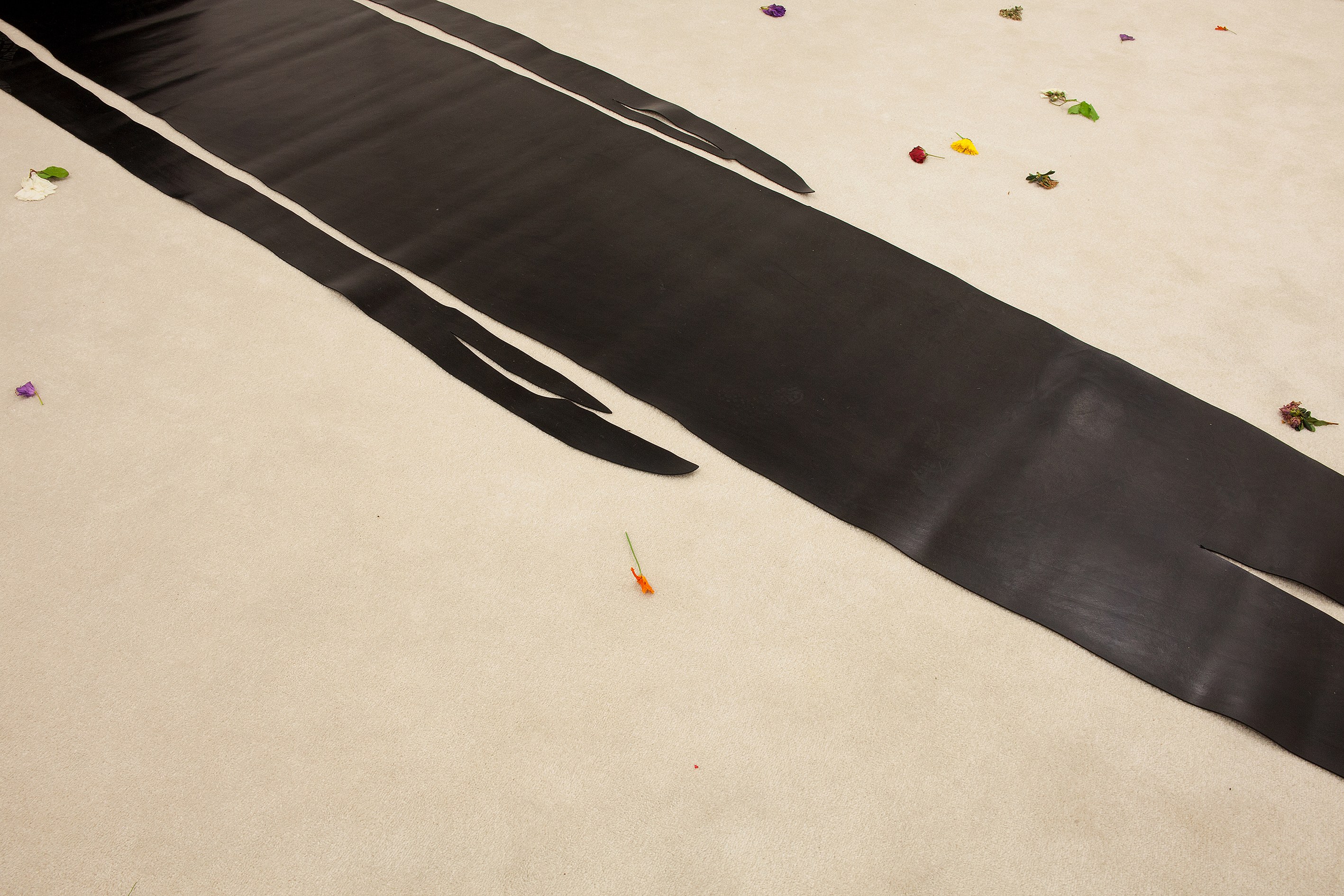 Angharad Williams, Without the Scales at Schiefe Zähne, photo 21