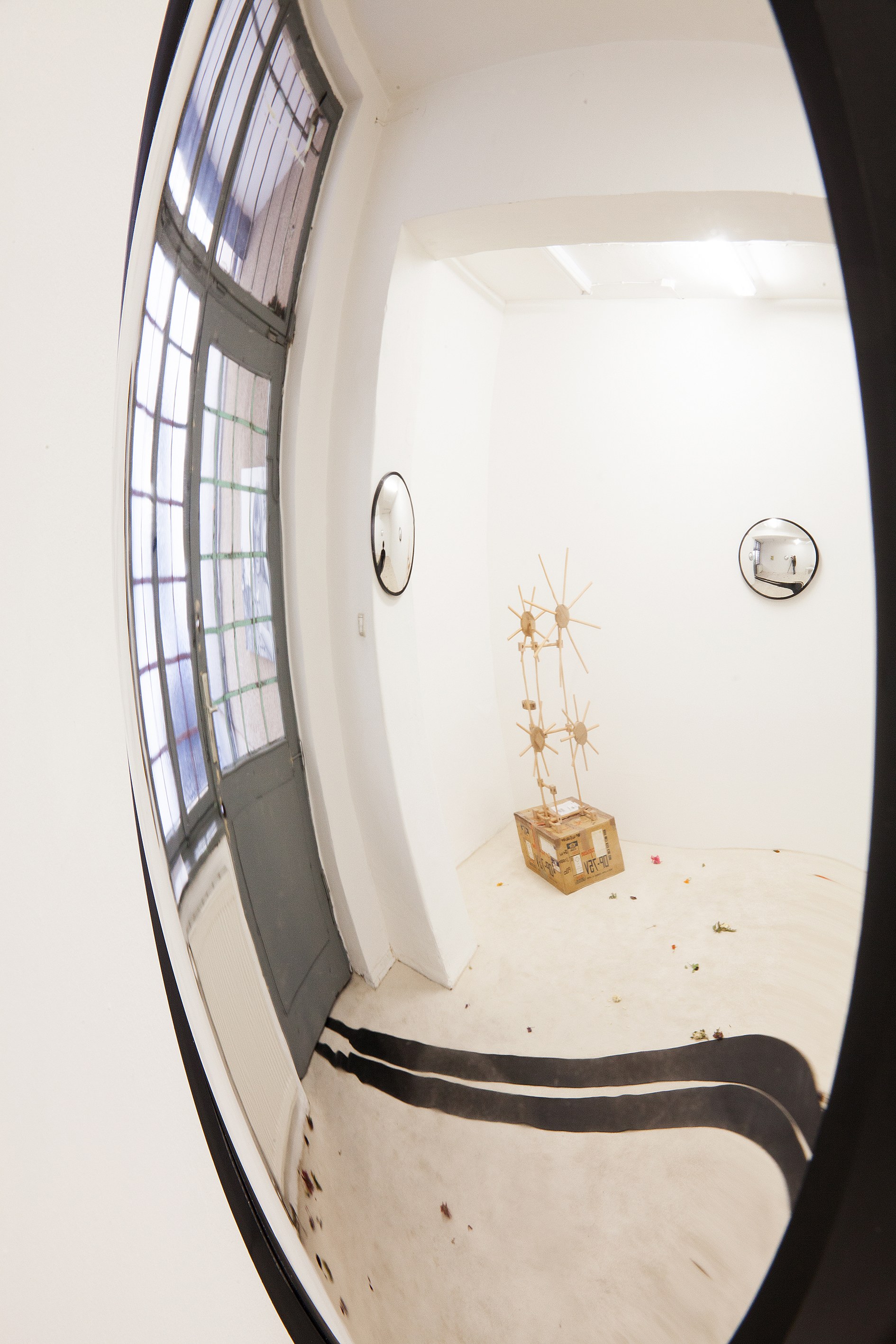 Angharad Williams, Without the Scales at Schiefe Zähne, photo 24