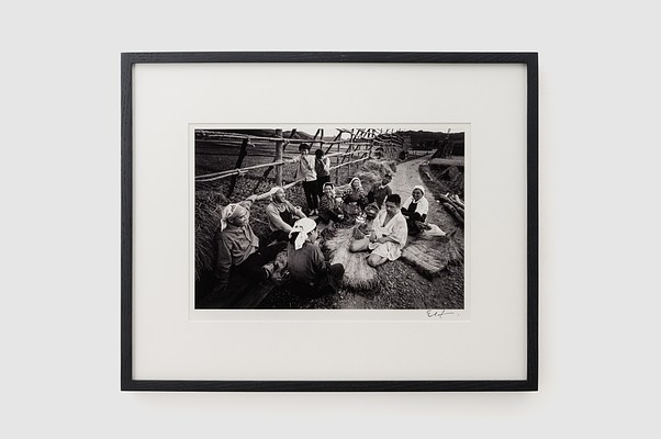 Image 9 of 29