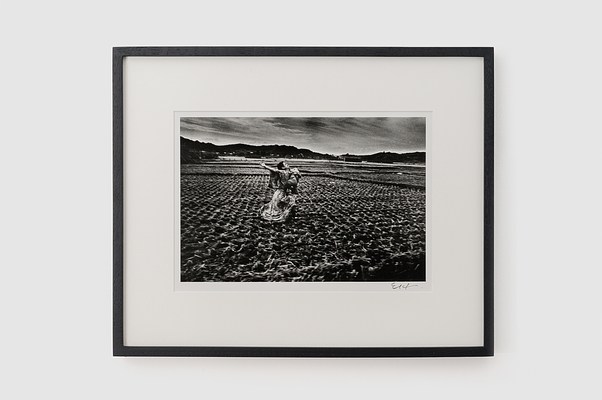 Image 10 of 29