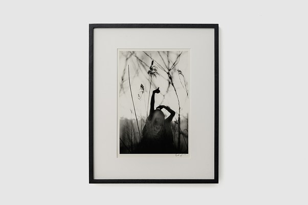 Image 27 of 29