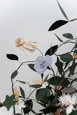 Image 6 of 31