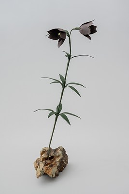 Image 8 of 31
