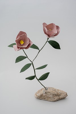 Image 9 of 31