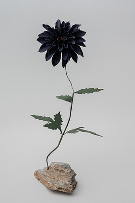Image 11 of 31