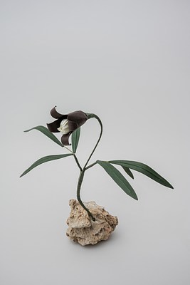 Image 10 of 31