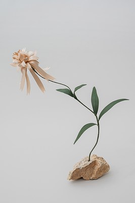 Image 12 of 31