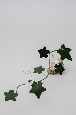 Image 13 of 31