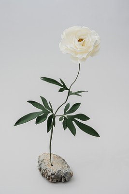 Image 14 of 31