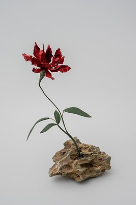 Image 16 of 31