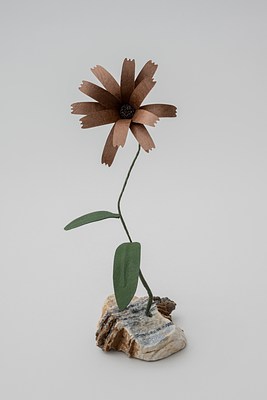 Image 17 of 31