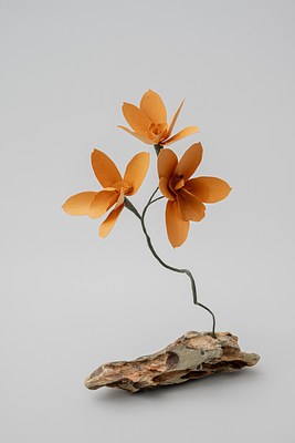 Image 21 of 31