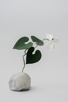 Image 20 of 31